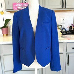 The Limited Periwinkle Open Long Sleeve Jacket Size Large